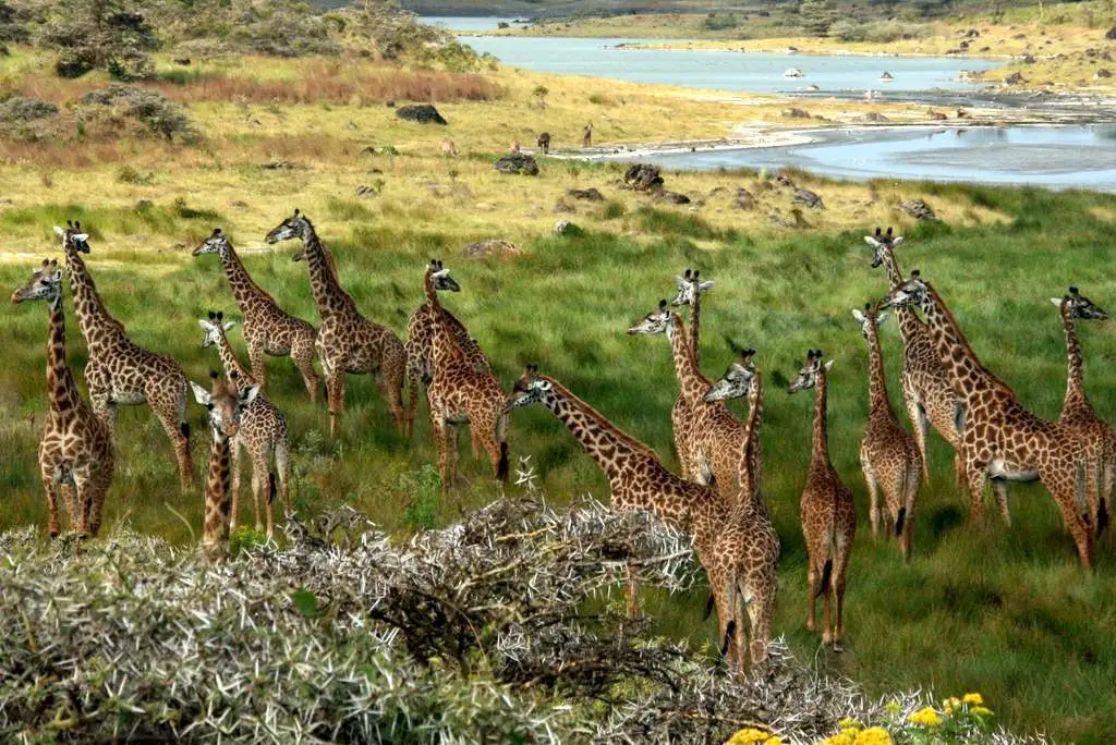 Arusha National Park Overview